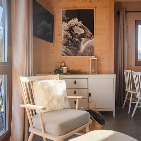 Biala I Czarna Owca *