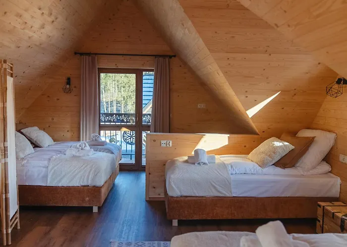 Biała I Czarna Owca *