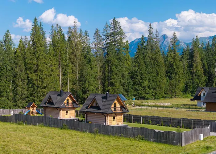 Biała I Czarna Owca